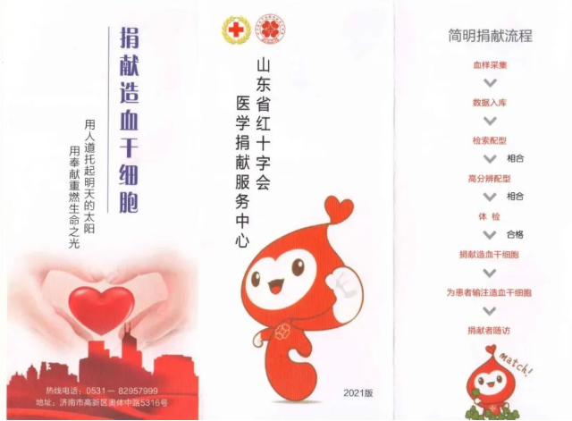 致敬熊猫侠90后小伙捐出山东首例熊猫血造血干细胞