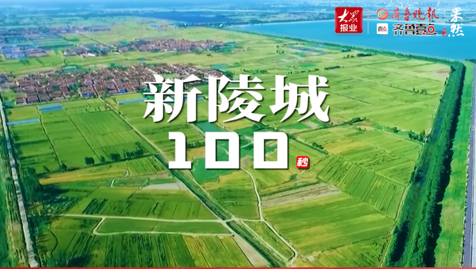争先向未来丨新陵城100秒