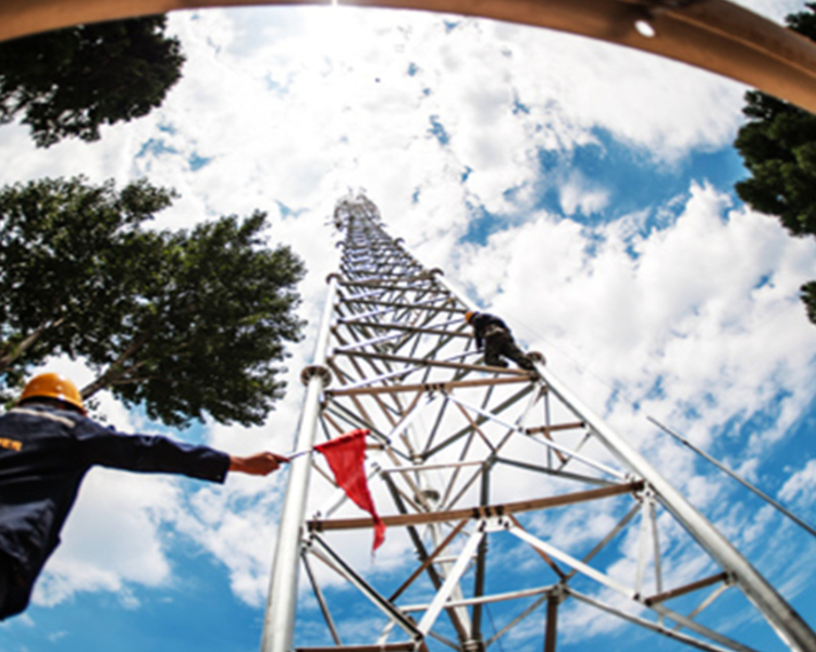 2022年国际劳动妇女节前夕，山东铁塔表彰一批先进女职工，授予山东铁塔巾帼建功标兵称号。