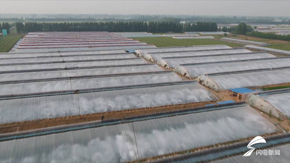 吸引一百多名青年返乡创业！耿遵珠：栽下梧桐树 引来金凤凰