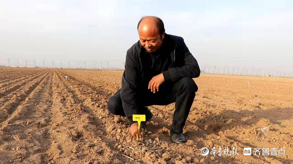 总书记来过我家乡｜破题“盐碱地农业”，建设国家“后备粮仓”