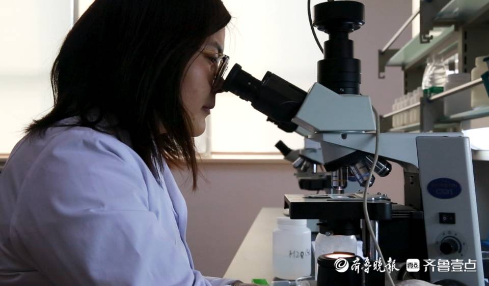 春风如你|日照市海洋与渔业研究院孙远远：坚守源于热爱