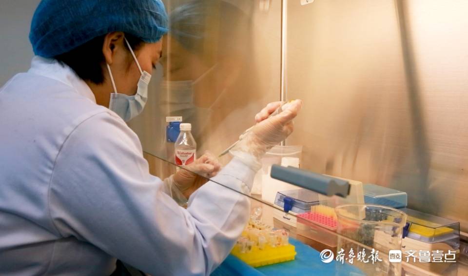 春风如你|日照市公安局张洁：抽丝剥茧中寻找破案密码