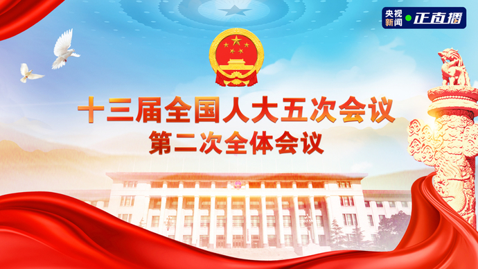 壹直播｜十三届全国人大五次会议第二次全体会议