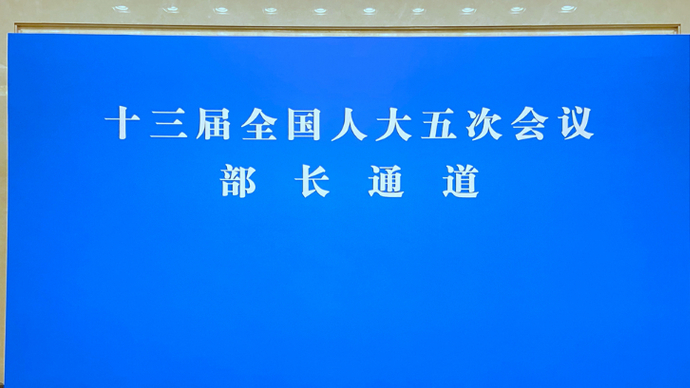 壹直播|十三届全国人大五次会议第二场“部长通道”