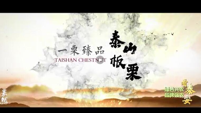 好品山东丨泰山板栗，从这里走向未来走向世界