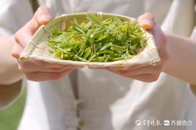 好品山东丨泰山女儿茶，厚重历史中延续的舌尖味道