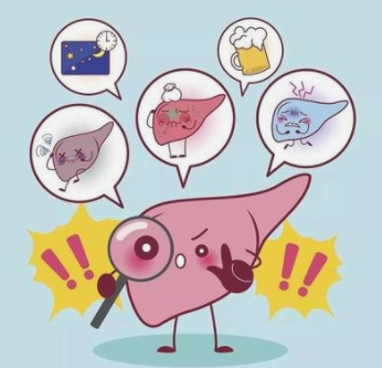 另外还有其他一些检查,如pet-ct,肝穿刺,超声造影等.