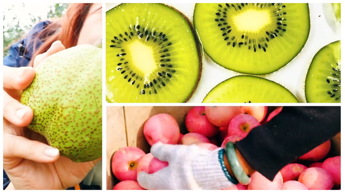 好品一分钟|这些山东瓜果，让你甜到心里……