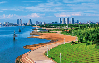 好品山东·品质日照 一片叶子的品牌“梦”