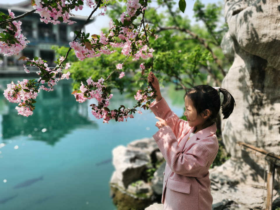 我与春天合个影|闻花香、听鸟语，天桥区桑梓幼儿园萌娃乐享春日