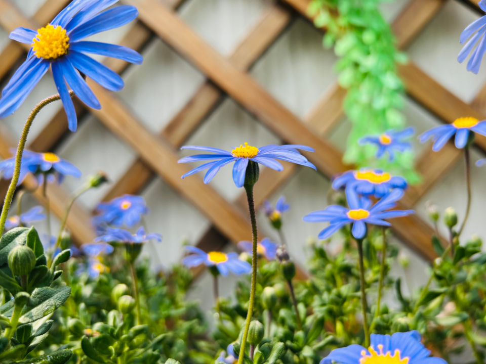 我与春天合个影|绿意悠然，历下一幼师生把春天“装”进相框里