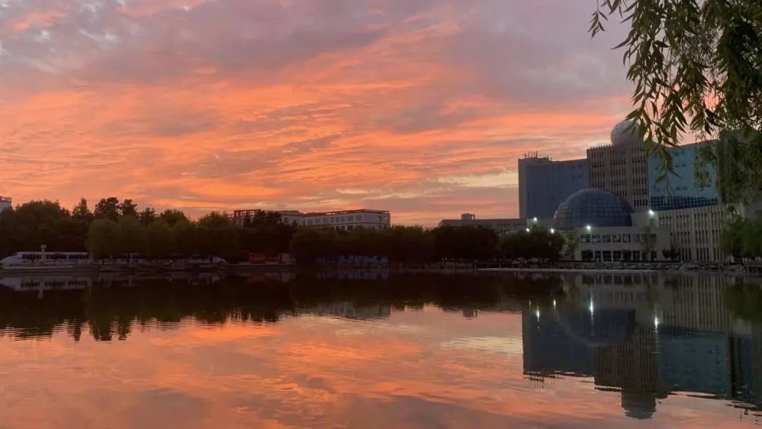 越夜越美麗青島科技大學的夜色美爆了