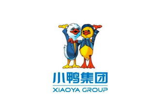 壹选优企|山东小鸭控股集团有限公司