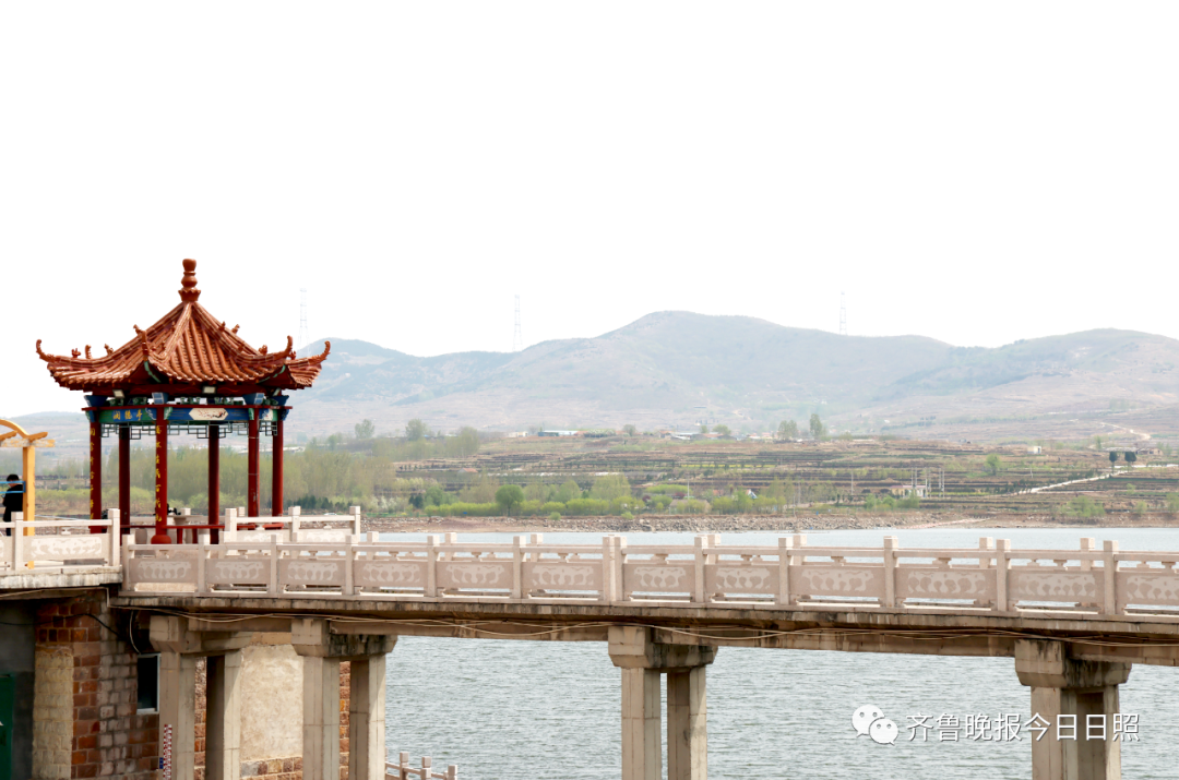 寻找最美春天|“峤”见春天，播种美好！