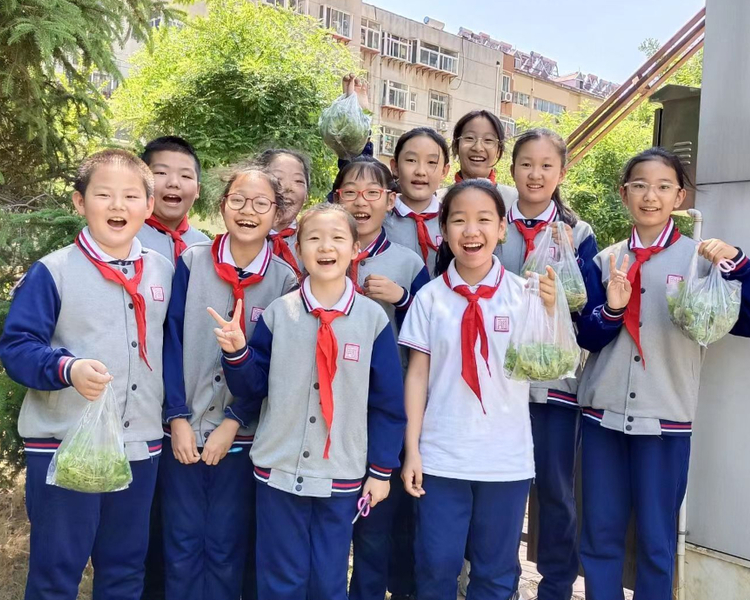 劳动教育是教育体系中不可或缺的重要一环，为展现中小学劳动教育成果，齐鲁晚报·齐鲁壹点结合五一劳动节，在五一劳动节前后特别推出《我们的劳动教育课》融媒策划报道，通专题形式进行全方位展示、报道。