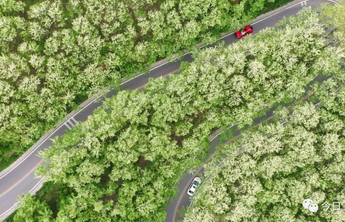 这里是日照丨47秒！日照这段视频火爆全网！