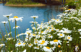 这里是日照丨天！真！好！