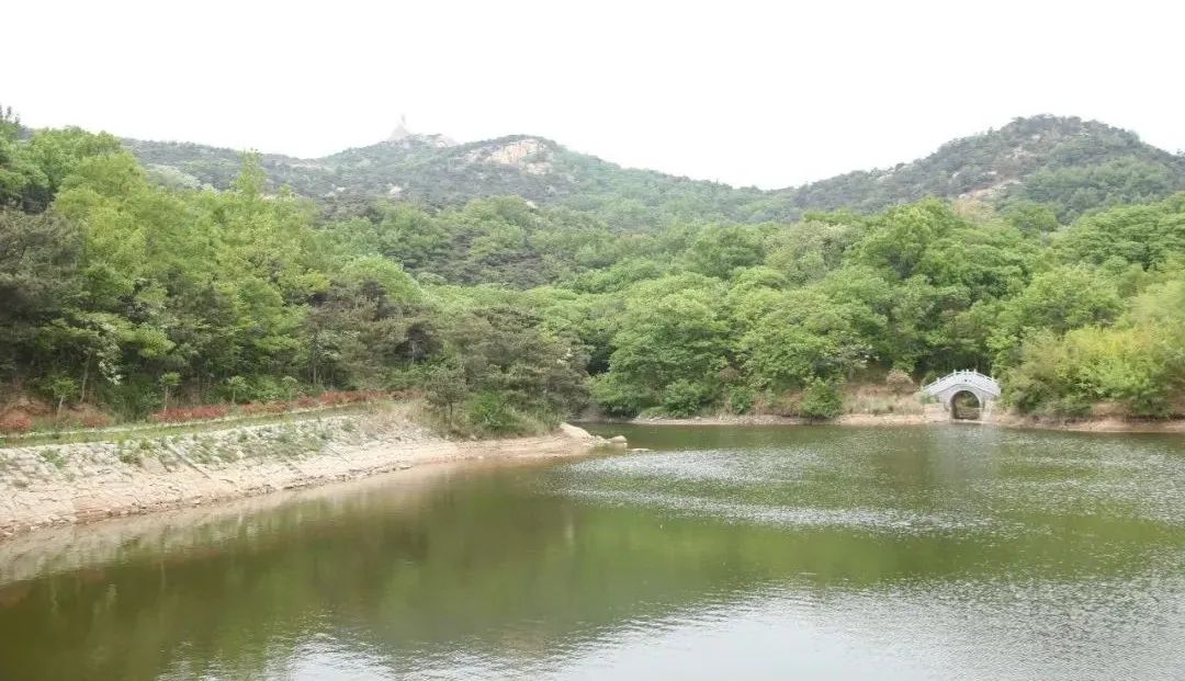 这里是日照丨有颜值有内涵有产业，来打卡东港区涛雒镇上元村