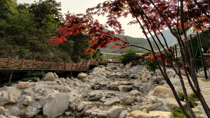果然视频｜“娜”游蒙阴，在椿树沟开启这趟醉美乡村游之旅
