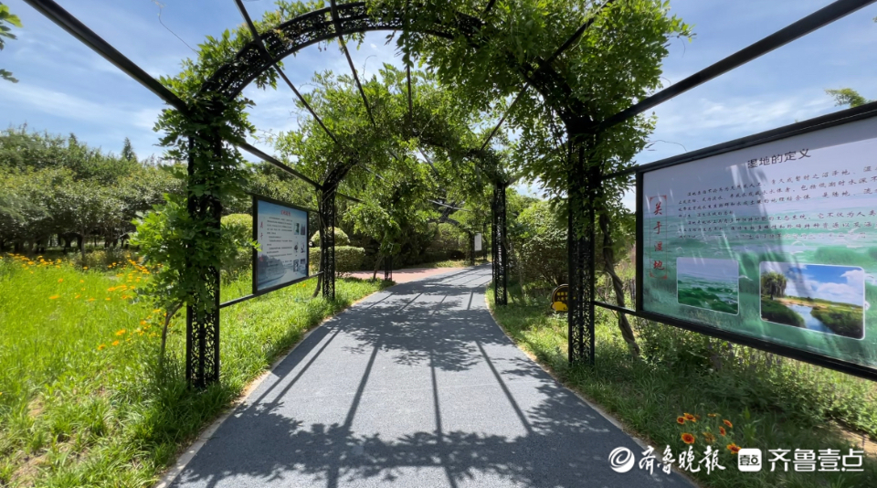 这里是日照丨新媒体采风，感受莒县蓬勃发展动能