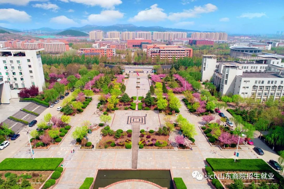 招考信息|山东商业职业技术学院2022年普通高等教育招生章程-齐鲁晚报