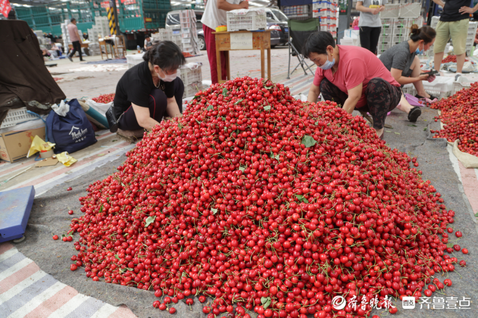 壹点图集|实拍烟台大樱桃市场，一片忙碌景象