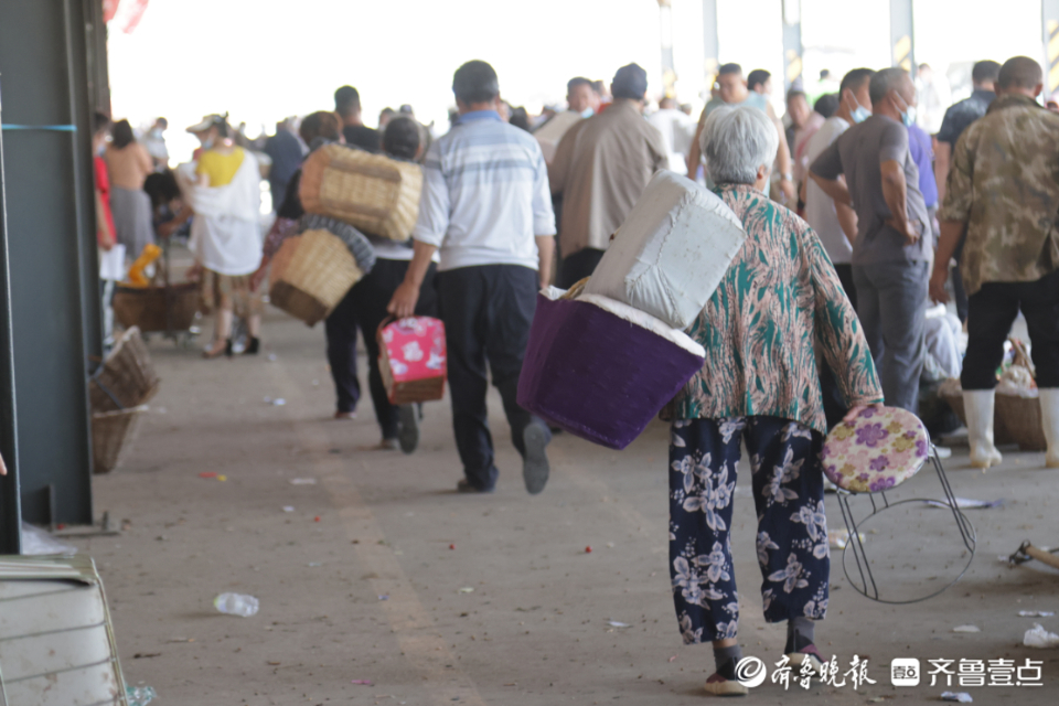 壹点图集|实拍烟台大樱桃市场，一片忙碌景象