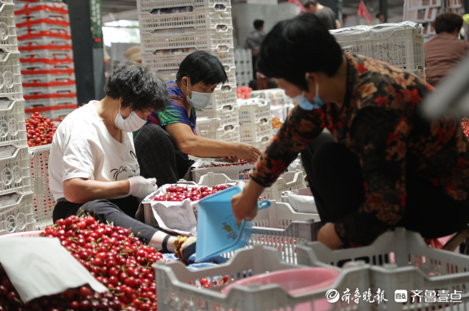 壹点图集|实拍烟台大樱桃市场，一片忙碌景象