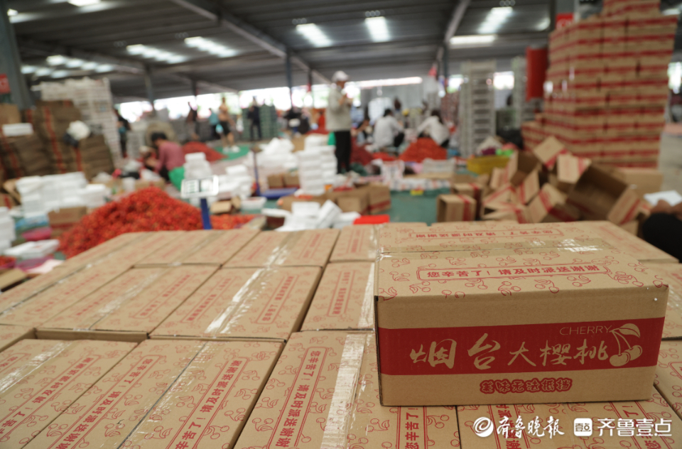 壹点图集|实拍烟台大樱桃市场，一片忙碌景象