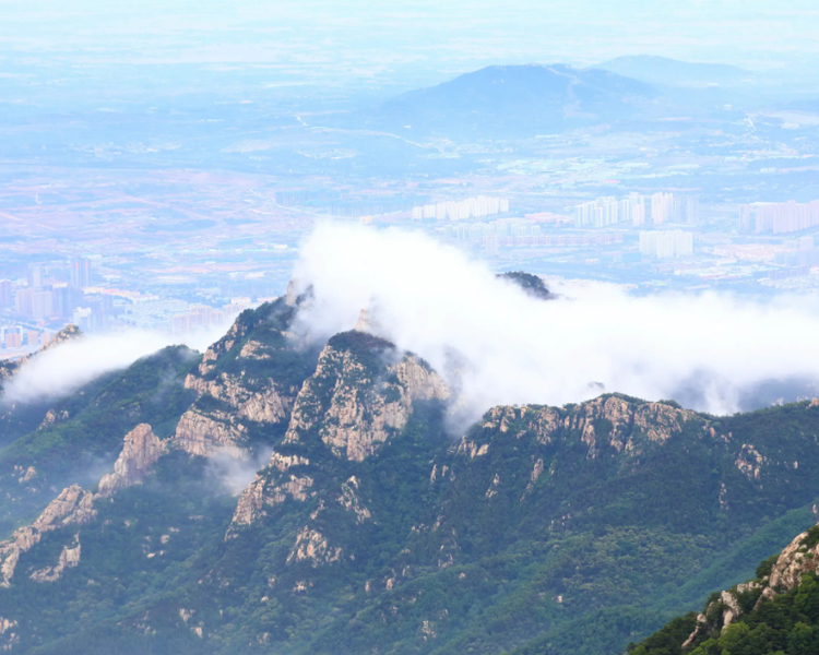 2021年山东商务综述