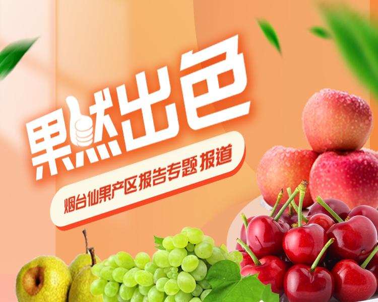 为了更好地宣传“烟台仙果”这一全品类果品品牌，进一步放大“烟台仙果”的品牌价值，为烟台优质果品赋能，齐鲁晚报·齐鲁壹点烟台融媒中心推出果然出色——烟台仙果产区报告专题报道。