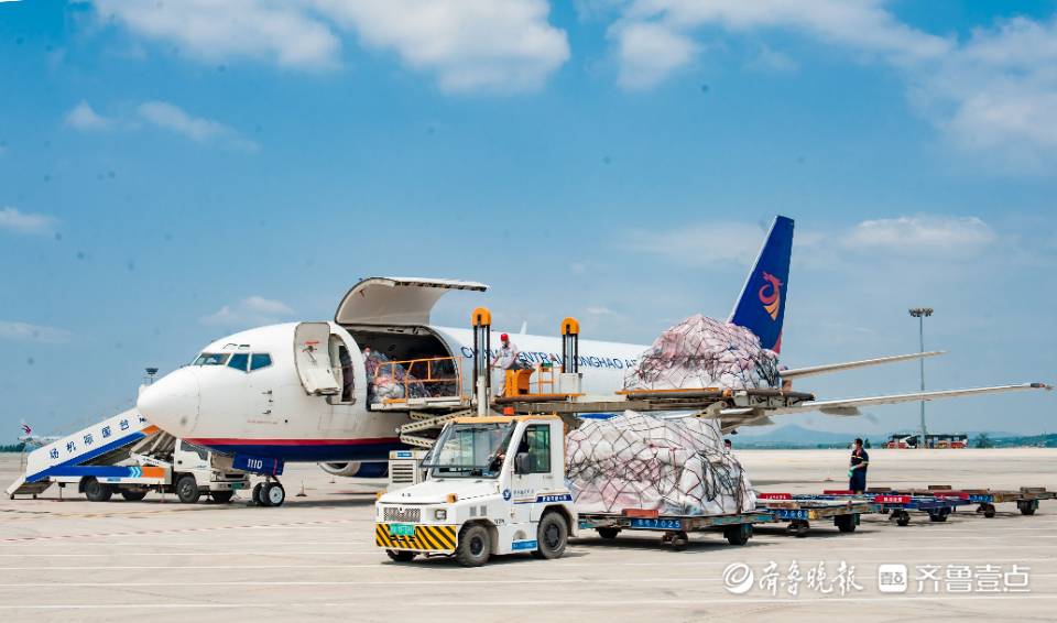 岭南荔枝坐专机来烟！烟台机场“樱桃航班”再添运力