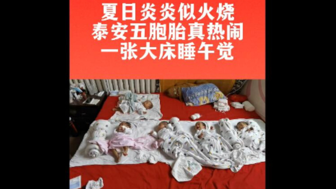果然视频丨夏日炎炎似火烧，泰安五胞胎真热闹，一张大床睡午觉