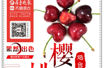 长图壹站|樱桃家谱——烟台大樱桃的前世今生