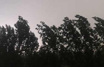 一秒变天！济南自西向东狂风骤雨，情报员：办公室里的灯都打开了