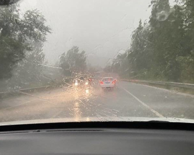 6月13日11时，山东省气象台发布雷雨大风黄色预警和雷电黄色预警：受冷涡影响，预计13日中午到夜间，我省大部地区及渤海、渤海海峡自西向东将有强对流天气，伴有雷电、8～10级雷雨阵风，局部有冰雹。