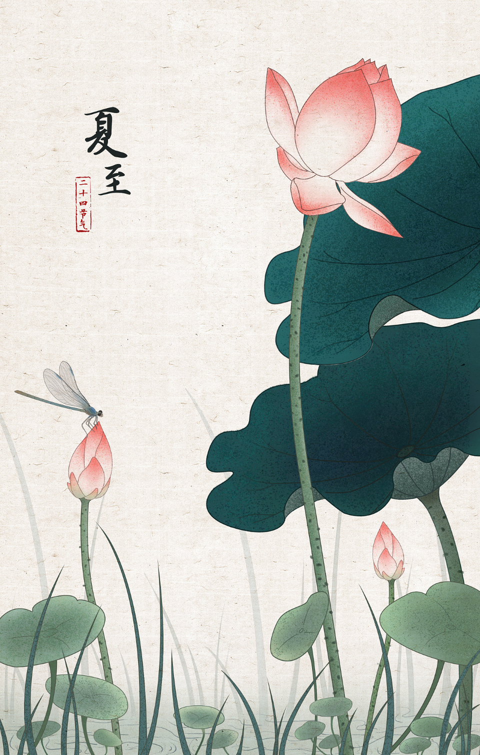 二十四节气之夏至-齐鲁晚报·齐鲁壹点