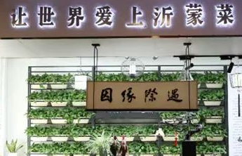 地道沂蒙味道！临沂炒鸡香飘“青岛峰会”