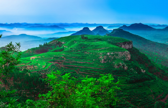 “好客山东”旅游品牌之上蒙阴有亮点