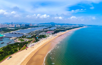 日照：“第一书记”描绘乡村振兴新画卷