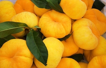 一口好桃，品出蒙阴乡村振兴甜蜜滋味