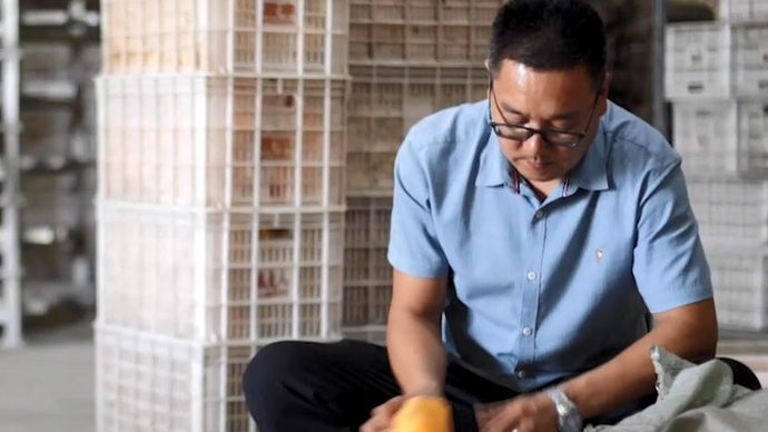 果然视频｜蒙阴“新农人”李长伟：带动更多农户创收