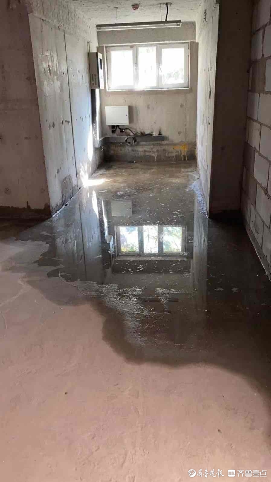 500万的木质别墅发霉漏水?法院不支持全屋质量鉴定,业主上诉