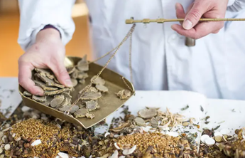 山东中药饮片抽检合格率逐年提高，去年以来3个中药新药获批上市