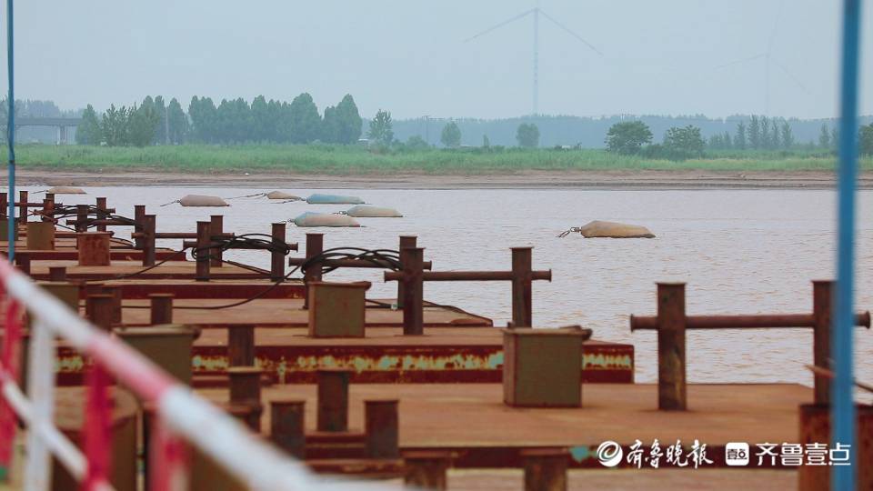 探究1.26亿“赌约”背后：“对赌”无输家，鲁豫接着约
