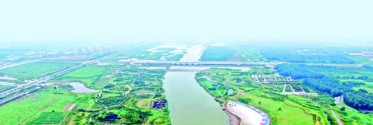 探访鲁豫交界处黄河湿地公园：昔日“污水沟”，变身网红打卡地