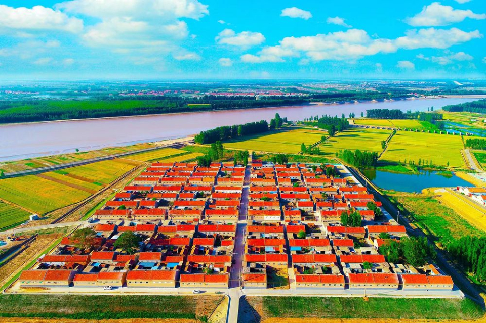 利津打造沿黄乡村百里幸福长廊-齐鲁晚报网