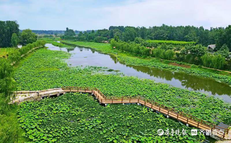 滕州官桥旅游景点图片