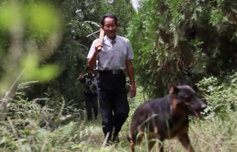 “天外山”上，他用40多年时光护下一片“开心”林场